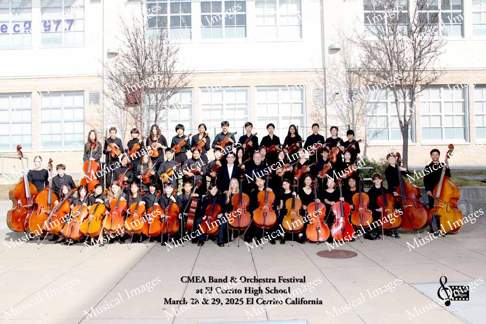 Musical Images